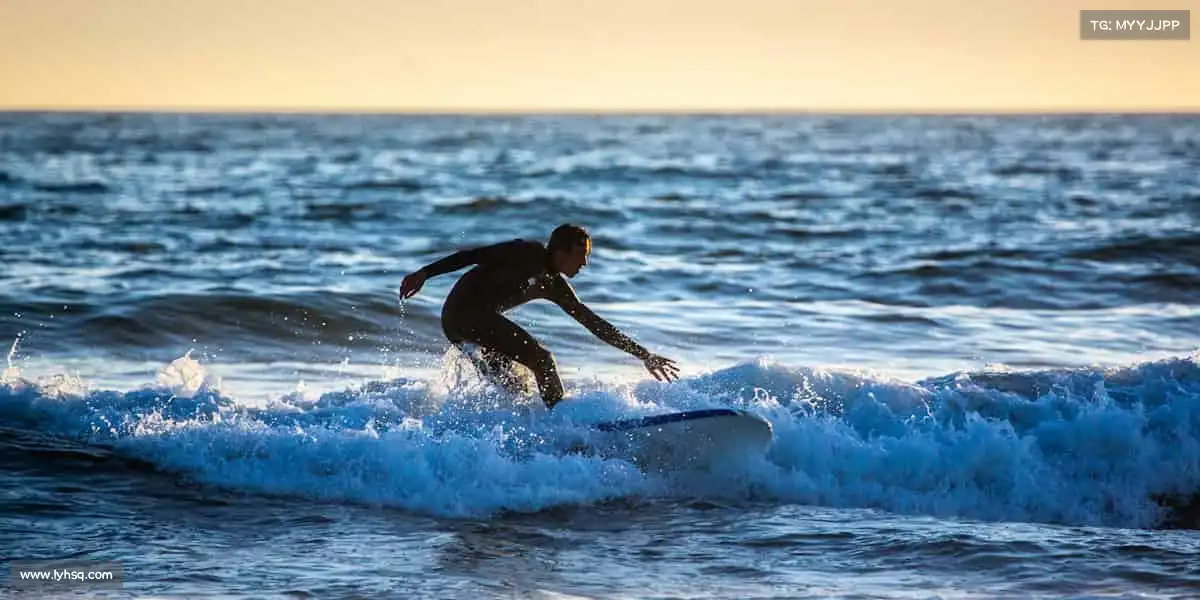 美狮贵宾会ms092021——🏇马术优雅,掌控每一步节奏🐎
